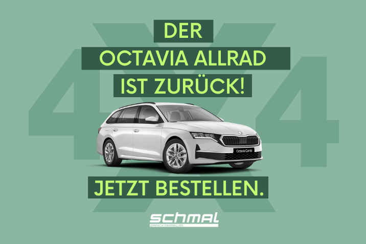 Octavia 4x4