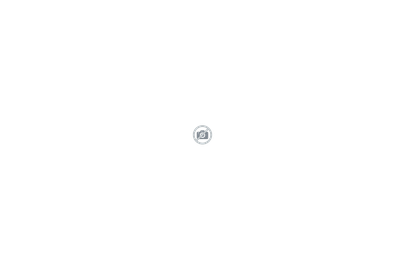 Ing. Schmal GesmbH & Co KG
